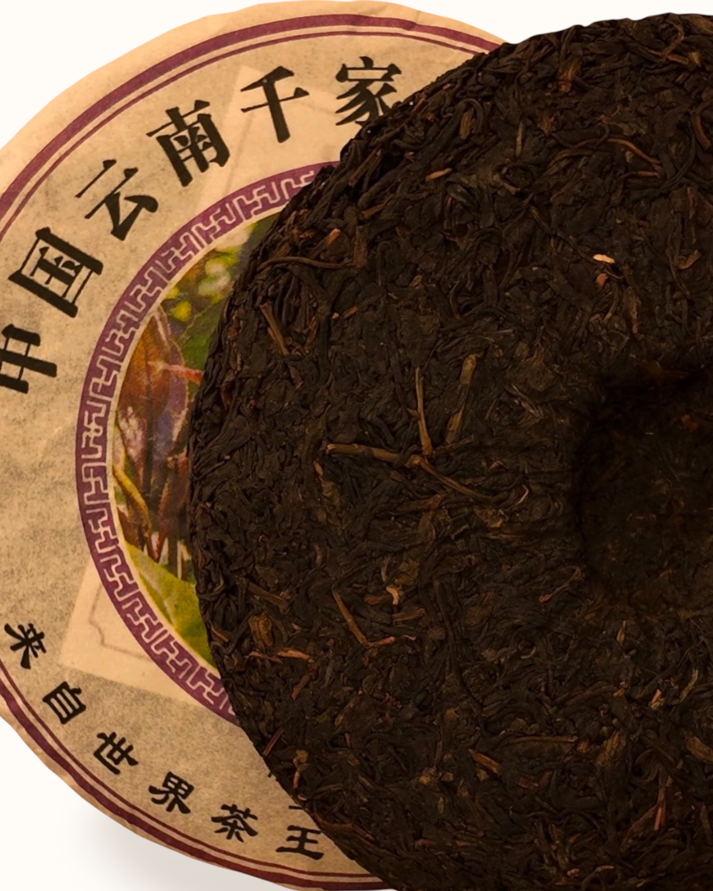 2005 QIANJIAZHAI SHENG PU-ERH