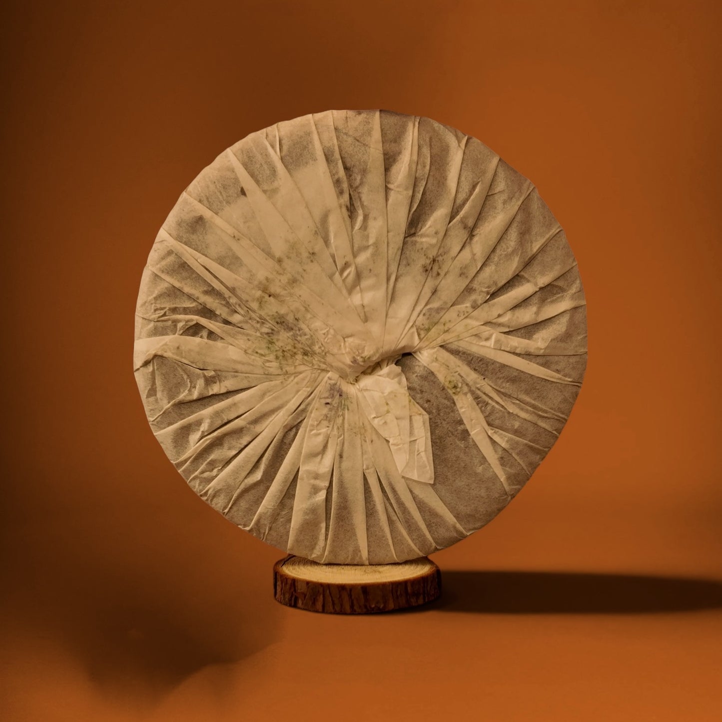 2005 QIANJIAZHAI SHENG PU-ERH