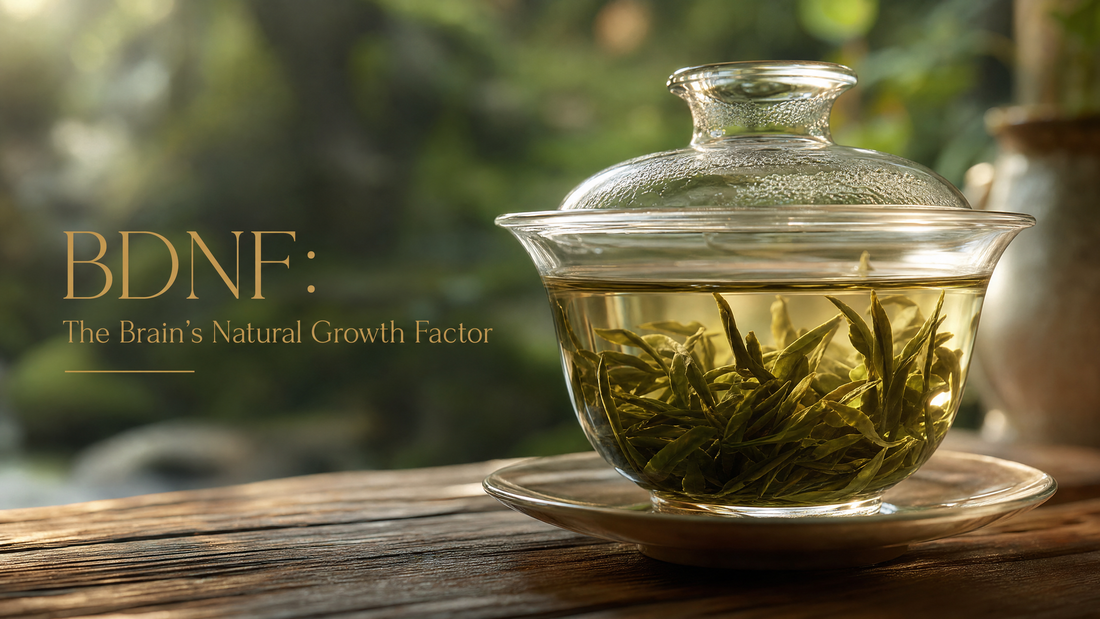 BDNF: How Chronic Stress "Dries Out" the Brain and Why Tea Has Become One of My Gentlest Companions on This Journey