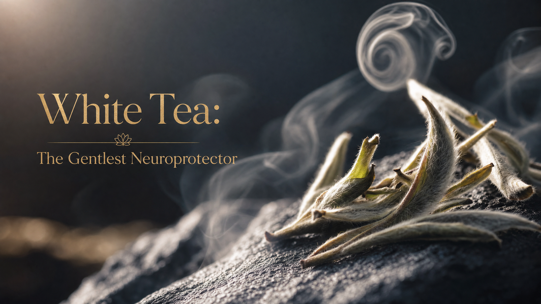 White Tea: The Gentlest Neuroprotector