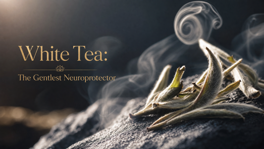 White Tea: The Gentlest Neuroprotector