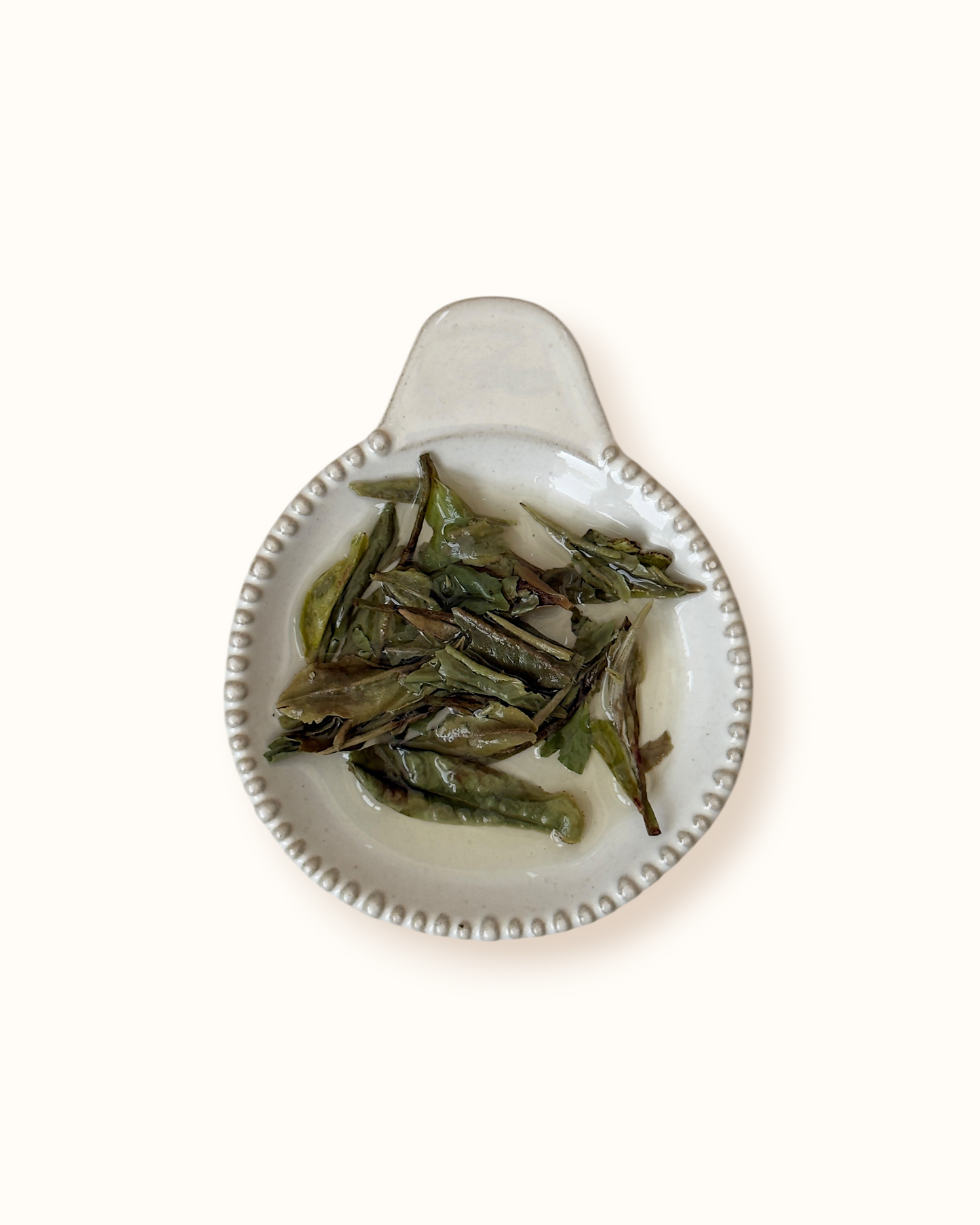 Detailed close-up of infused White Peony white tea leaves in a ceramic dish after brewing

