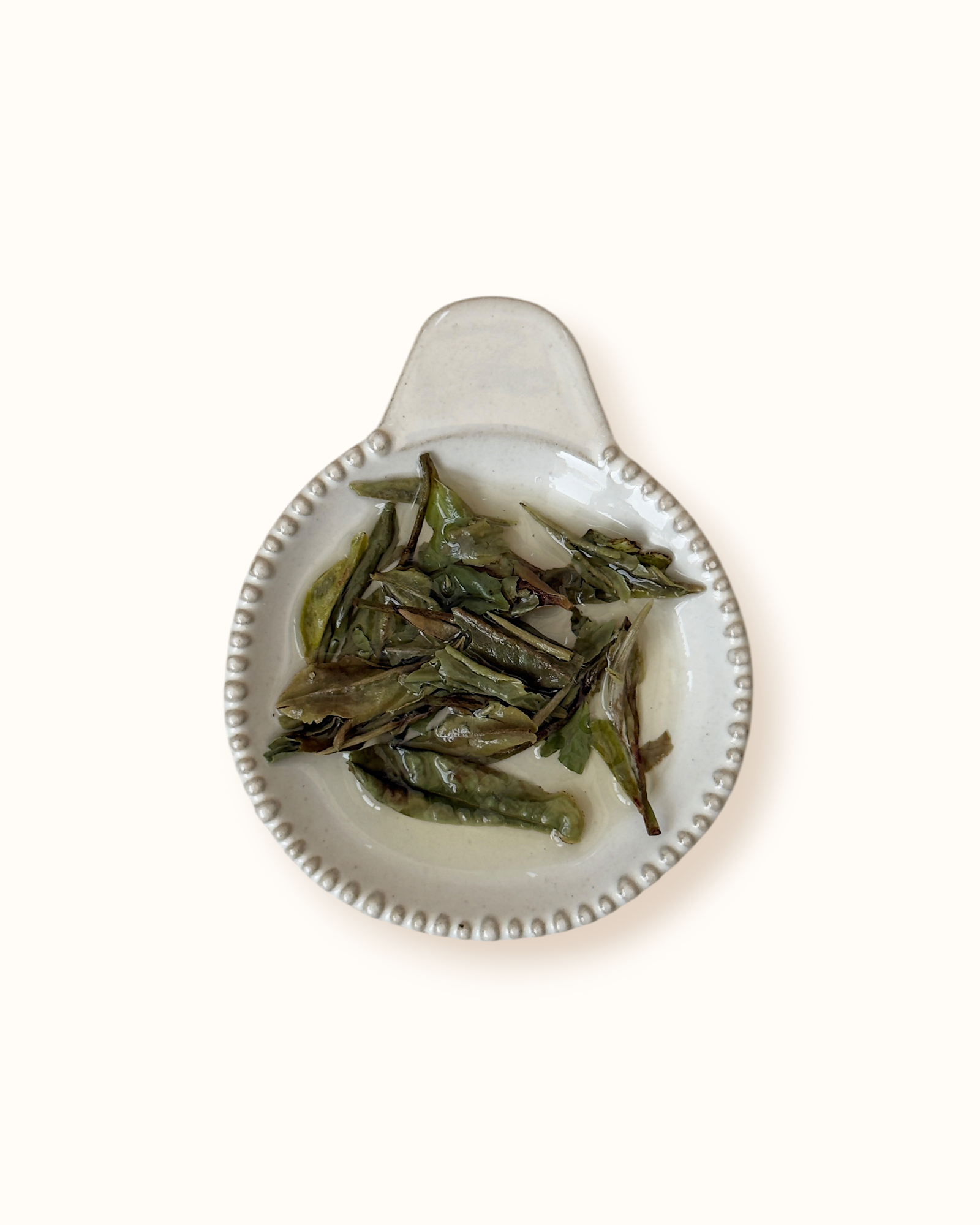 Detailed close-up of infused White Peony white tea leaves in a ceramic dish after brewing
