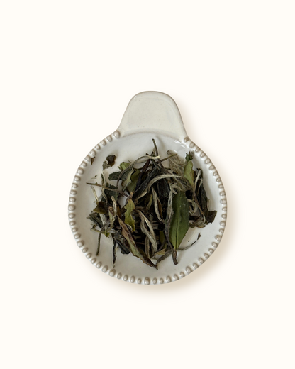 Detailed close-up of dry White Peony white tea leaves on a small ceramic dish
