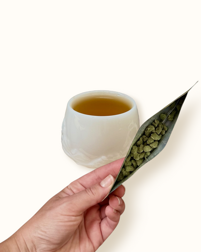Close-up of Ginseng Oolong rolled oolong tea leaves with an open olive-gold sachet in hand beside golden tea liquor in a white ceramic tea cup
