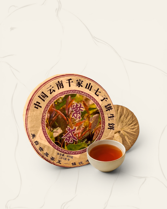 2005 Qianjiazhai sheng pu-erh cake — twenty-year-aged wild tree pu-erh from Yunnan