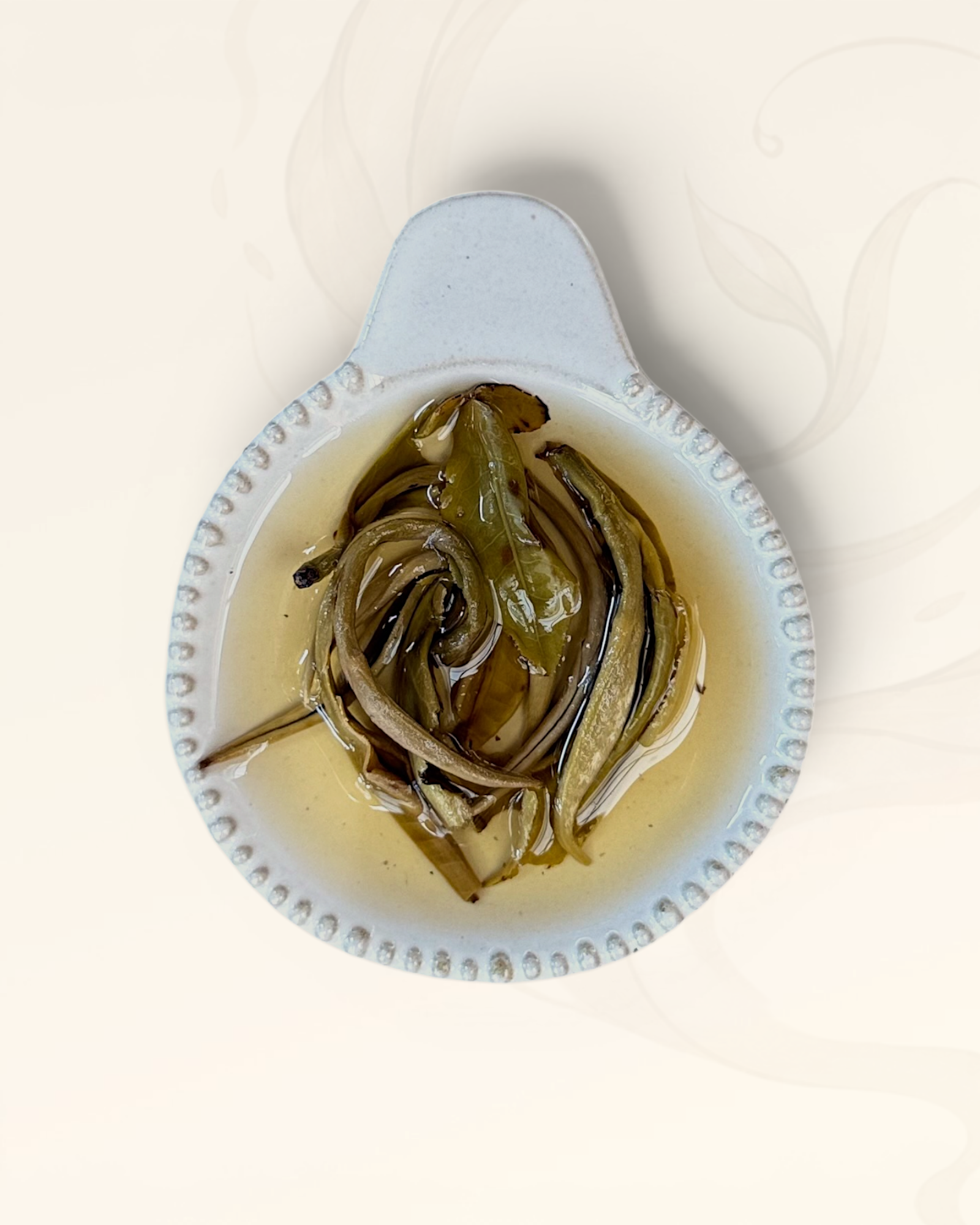 Wet Jasmine Pearl tea leaves in a white ceramic bowl
